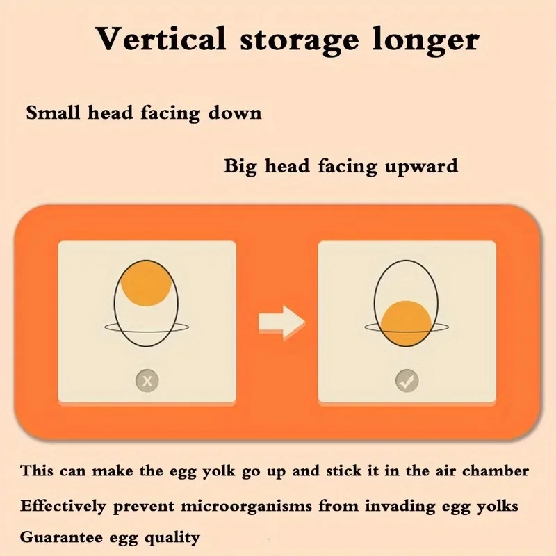 1 Kitchen Egg Storage Box 2 La - đánh giá và giá Egg Storage Holder